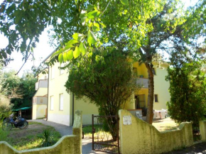 Гостиница Grazia Apartment  Розолина Маре